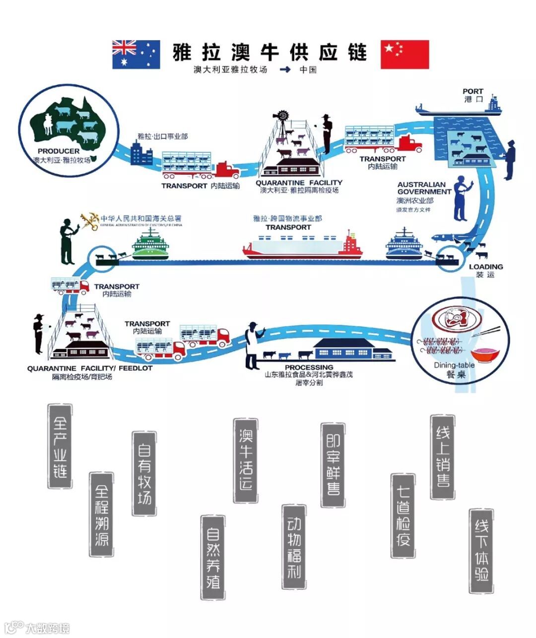 生鲜手册_画板 04.jpg