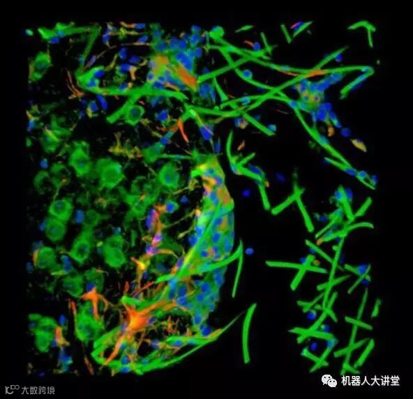 为了不让机器人战胜人类:干脆把人类变成机器人!