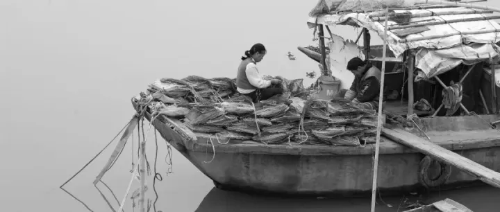 Let me know if you need any adjustments | Nansha Xiangyunsha 65