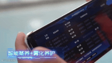 LED屏幕.gif