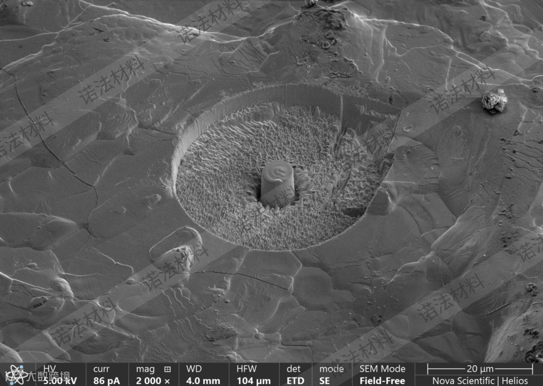 微柱 带水印.png