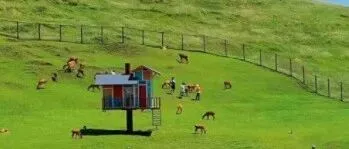 本周出行 所有户外活动汇总【广佛出发 】所有活动报名够10人铁发 ，200＋活动任选，1日游低至49元/人 -小红兔户外精选