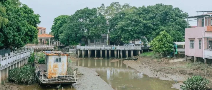 这一个村｜南沙新兴村·第50期