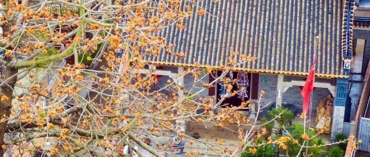 懋德重光，祖脉绵长！南村坊杨氏大宗祠-懋德堂｜南沙古迹 32