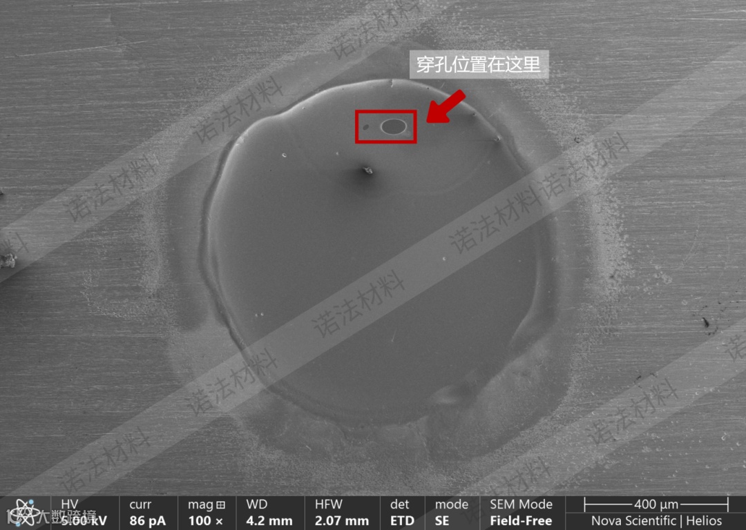 EPOL样品（中倍数）带水印 带框.png