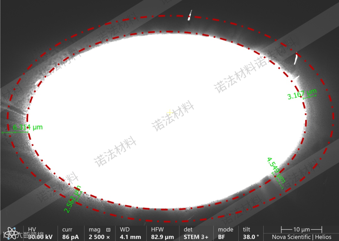 EPOL样品（大倍数）带水印 带框.png