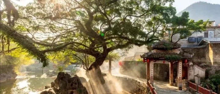 本周五晚上出发  439元/人  珠江新城上车 汽车团 广西三月三 黄姚古镇沉浸式狂欢，龙脊黄洛红瑶长发山歌节 2天2夜 只有一期