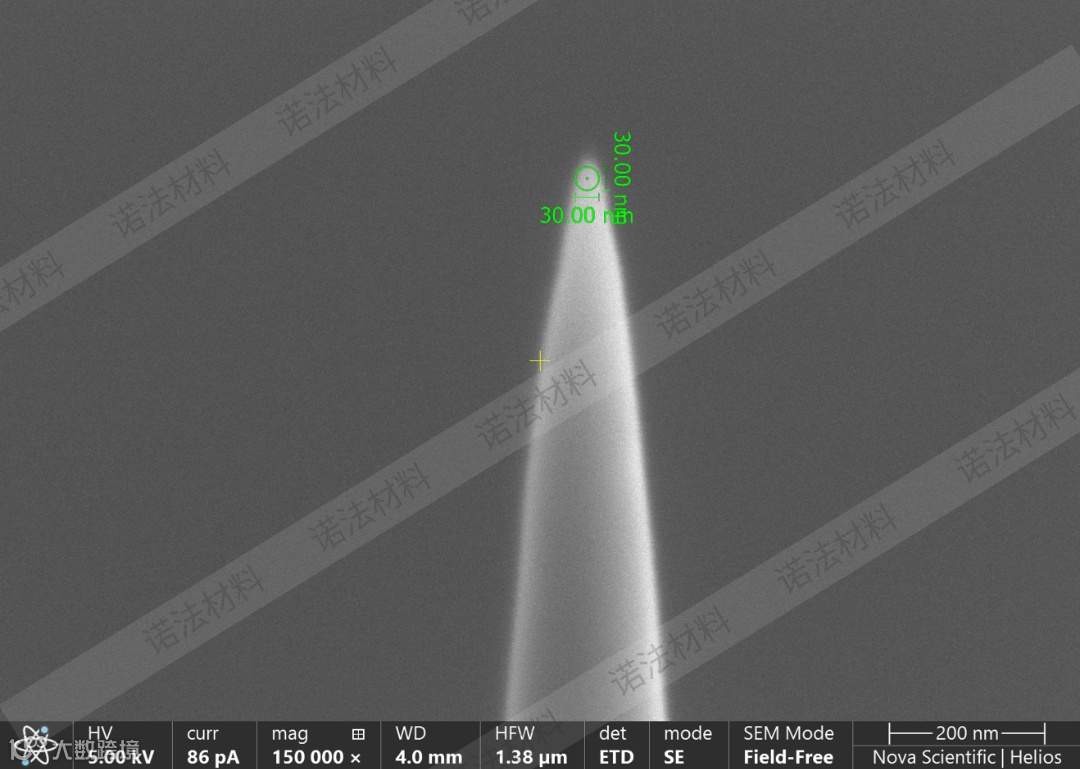 APT样品 (W1.0 Homo) 带水印.png