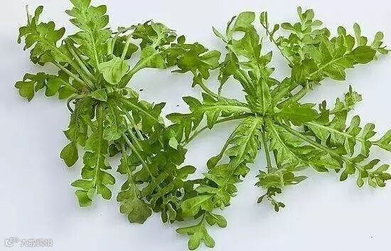 点击查看源网页