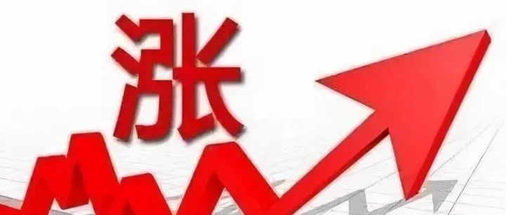 尿素市场现货偏强，期价回调23元