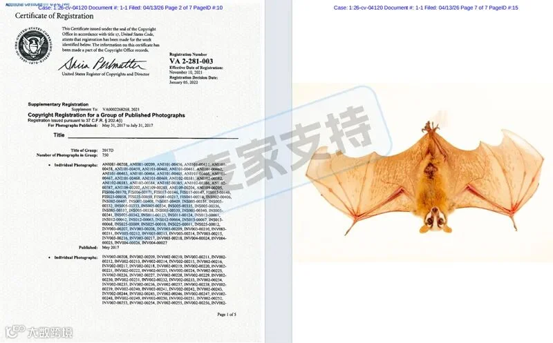 6-cv-04120，面具狐蝠肖像画跨境销售有风险，30店陷侵权危机！"