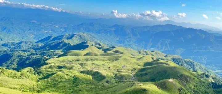 本周六出发 298元/人 珠江新城上车 汽车团 【徒步鸡笼顶 1天1夜】打卡粤西最美大草原，赏千亩高山杜鹃花