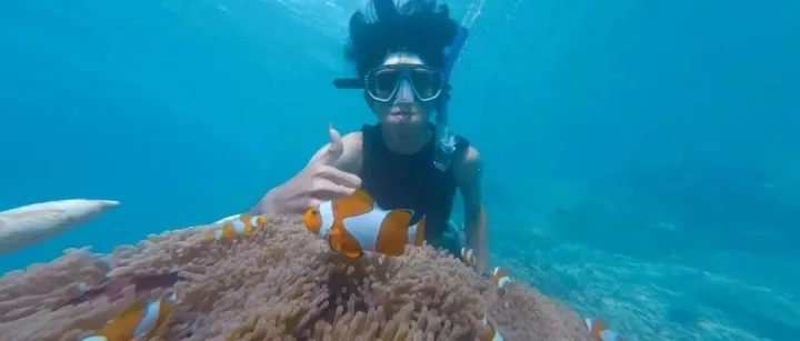 本周六出发 398元/人 广州塔上车 汽车团【浪漫惠州2天】入住一线海景房，打卡广东马尔代夫、体验海边冲浪、SUP板、皮划艇、浮潜、