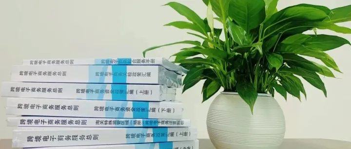 《跨境<em>电子商务</em>服务总则》