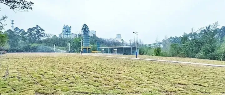 台泥剪影︱重庆厂：创意诠释绿色理念/句容厂：政企同心美化家园