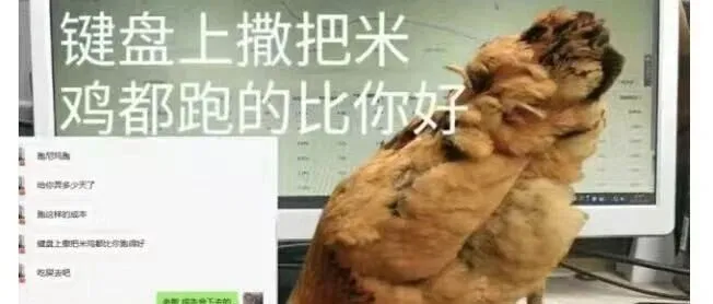 一个封号引发的血案