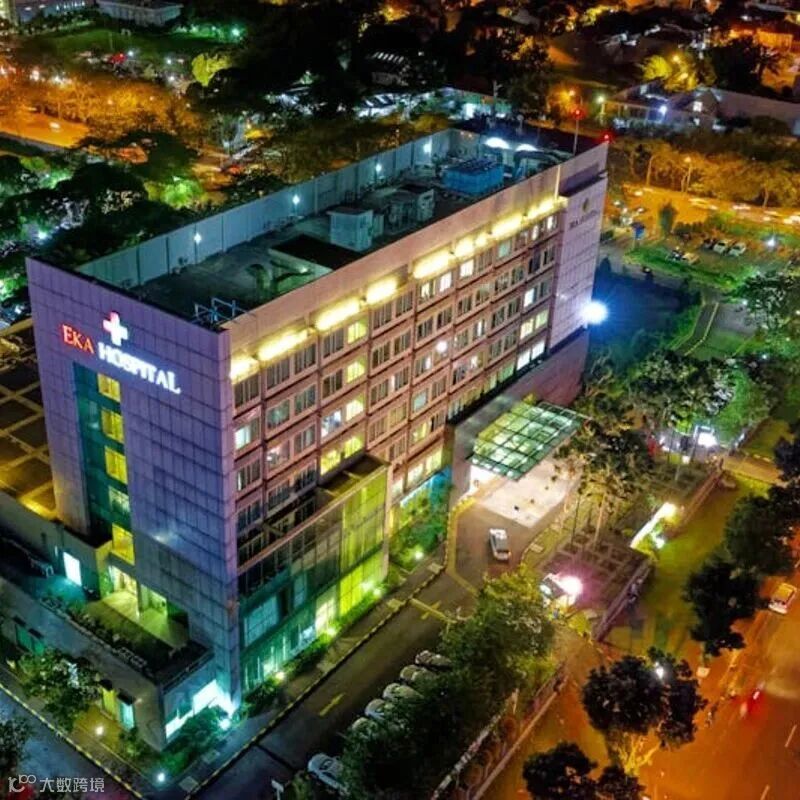 大脑与免疫系统