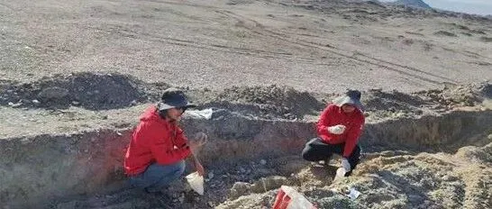 弘扬新时代地质精神 | 岩层里的三年青春