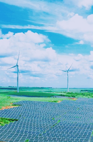 19.6.25 湛江丰收光伏项目 p.png