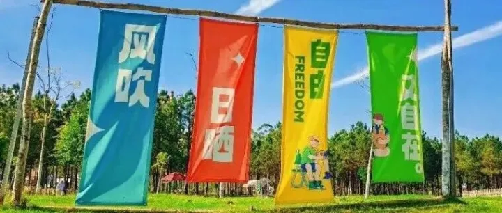 清明，又到踏青赏春时！