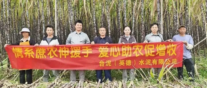 点赞台泥英德厂︱情暖蔗农伸援手，爱心纾困促增收