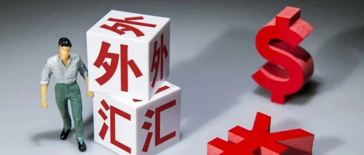 <em>外汇</em>投资风险及注意事项