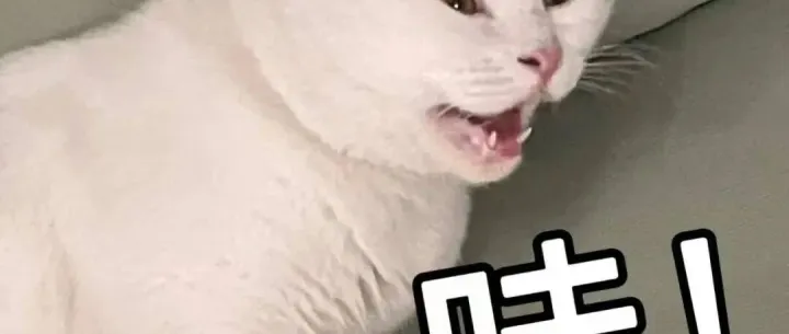 <em>茂名</em>2026年要做225个大项目