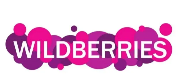 Wildberries平台全面解析（入驻指南+热销品类）