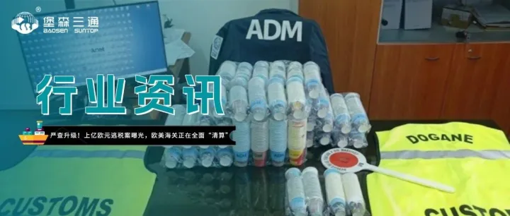 严查升级！上亿欧元逃税案曝光，欧美海关正在全面“清算”！
