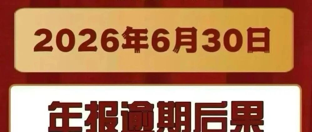 10 分钟搞定 2026 工商年报：超全流程 + 避坑指南，照着填就行！- 大数跨境
