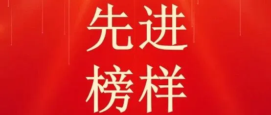 榜样的力量 | 资环链金2025年度先进集体、个人风采展播（二）