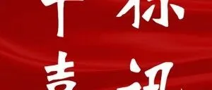 公司中标黄河内蒙古段河道治理工程