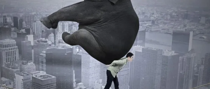 司法辖区_DE&Global：探讨母公司对子公司违规行为的关联责任