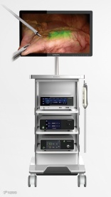 荧光电子腔镜系统