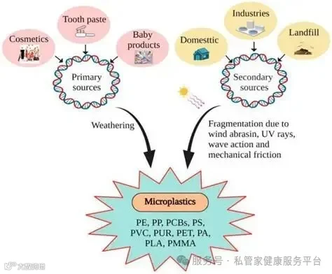 环境中的微塑料：全球关注、挑战和控制措施,International Journal of Environmental Science and ...