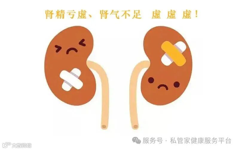 肾精虚的9大信号，你中了几个？_肾合胶囊