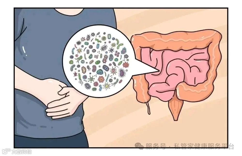 中医的“脾胃虚弱”，原来就是“肠道菌群失调”！-健康160