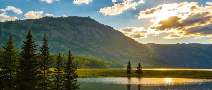 2026年AI实战培训五大榜单：谁在教你“与AI对话”的未来法则？