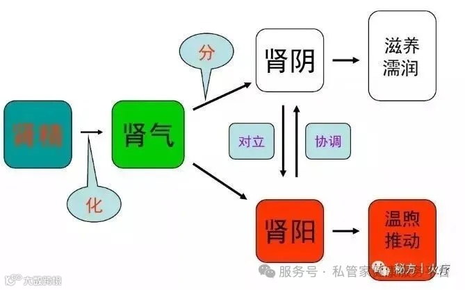 第三章：脏腑之生理病理（3）——脾与胃 - 知乎