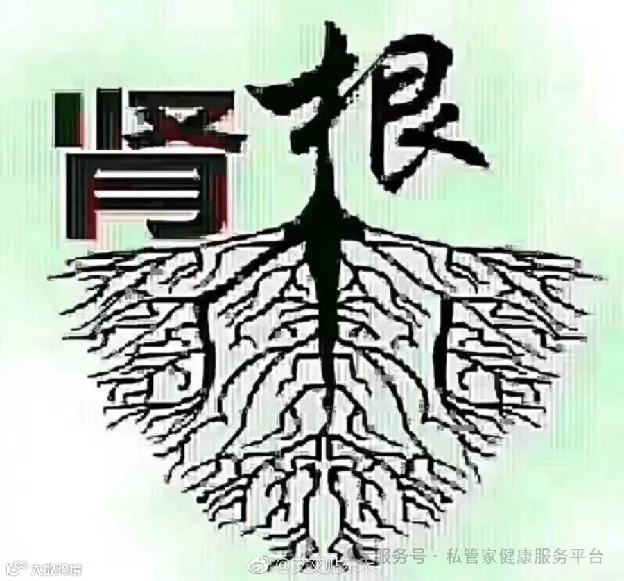 中老年补钙的中医原理是什么|肾精|中老年|中医_新浪新闻