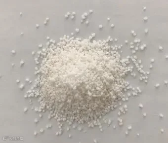 过瘤胃保护胆碱市场