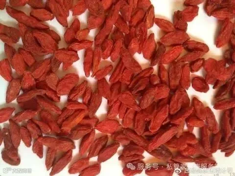 枸杞，又名枸杞子、杞菊、地膏花|枸杞|枸杞子|滋补_新浪新闻