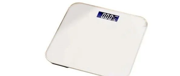 体重秤海运到美国GEU2仓库