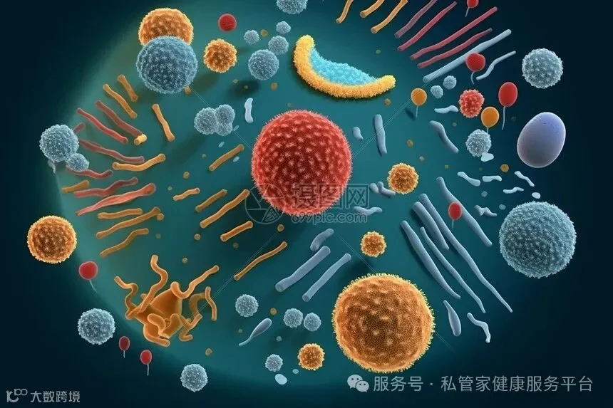 各种细菌病毒微生物图片素材-正版创意图片600196781-摄图网