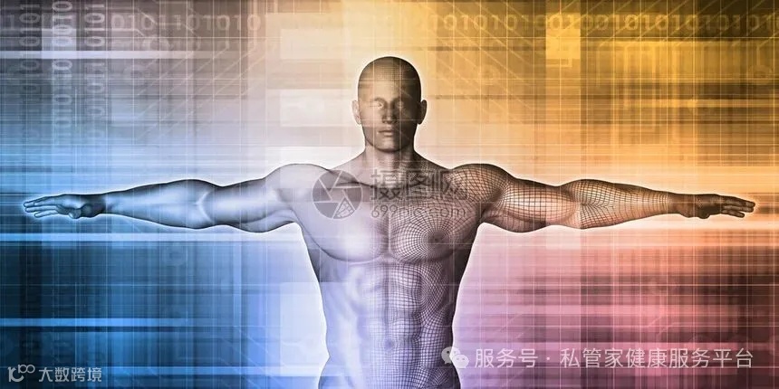 身体训练和为理想身体提供条件训练高清图片下载-正版图片307058016-摄图网