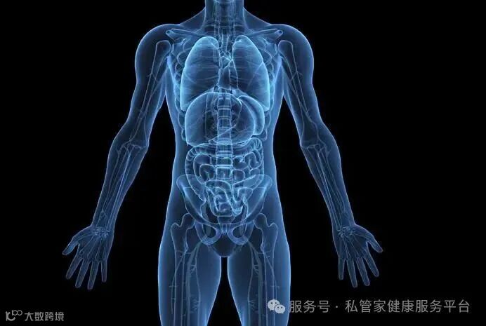 中医之精髓，首都医大董老师讲人体的藏象心和肺，精而简出品