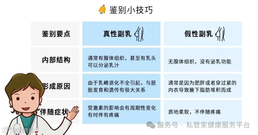 有副乳？易得乳腺癌？万一只是最近胖了呢~究竟咋判断？