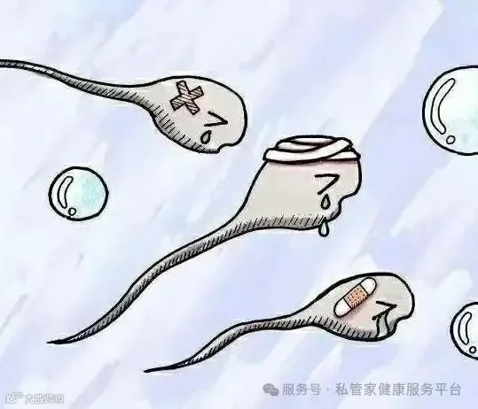 如何正确认识小蝌蚪 - 知乎