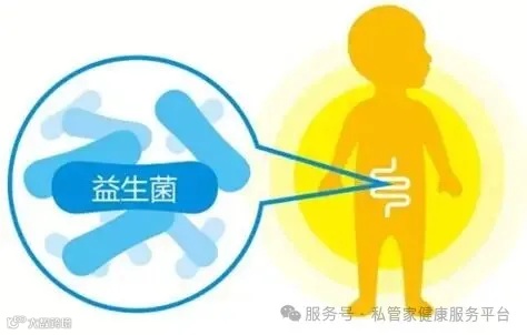 解决宝宝“肠”见病，调节肠道菌群的状态很关键_平衡