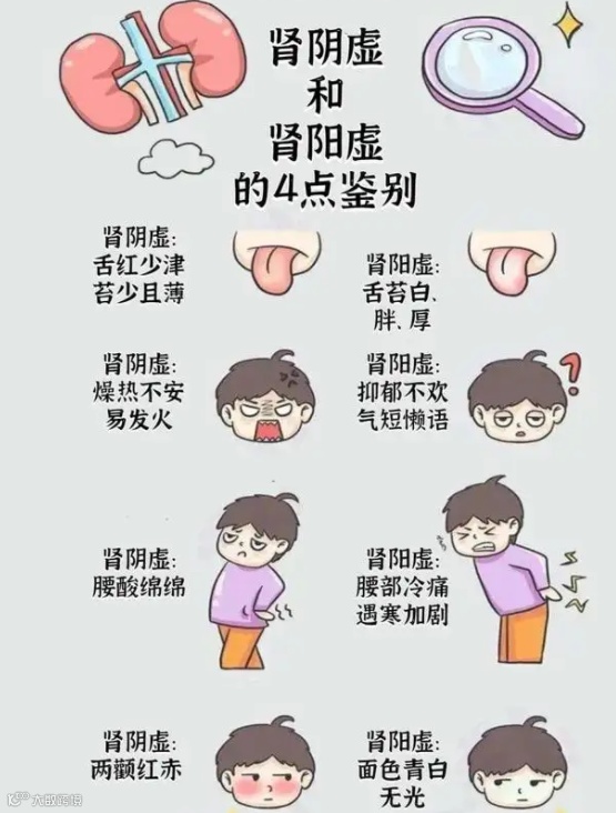 出现肾虚的12大信号及6大联合用药-基层医生网